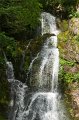 0071Cascade Wildenstein